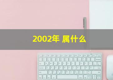 2002年 属什么